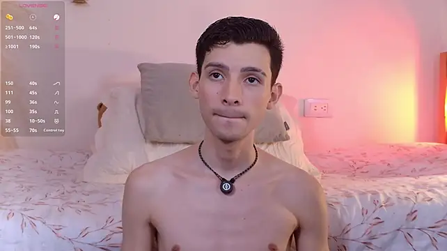 VicenteFerrer webcam