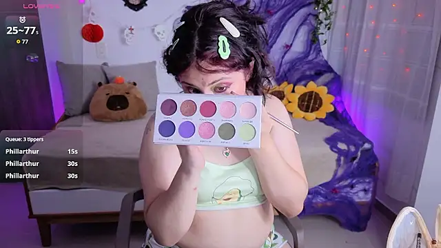 sofix__ webcam