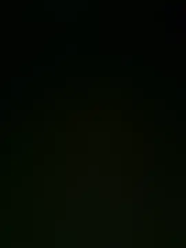 ferbsb webcam