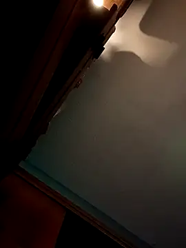 cumgitsumdic webcam