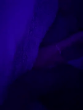 turkishpasifp webcam