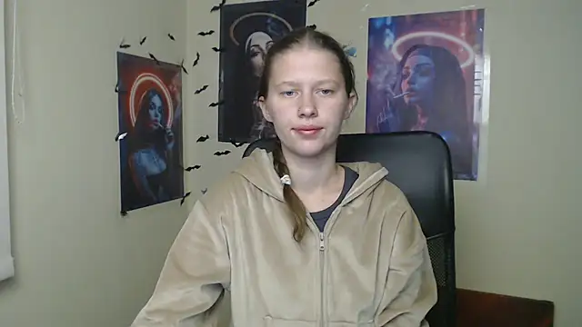 StellaCRL webcam