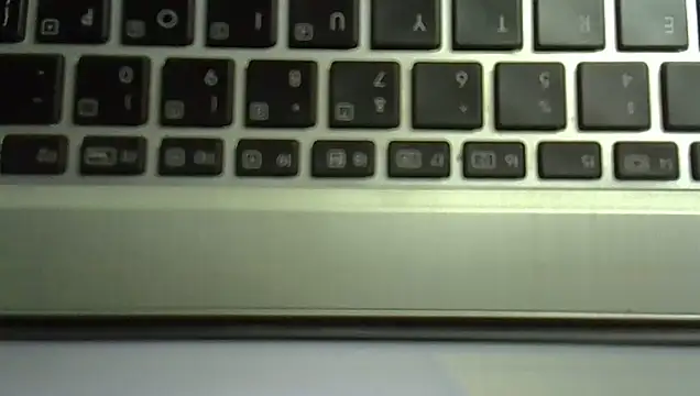 Delicious-D webcam