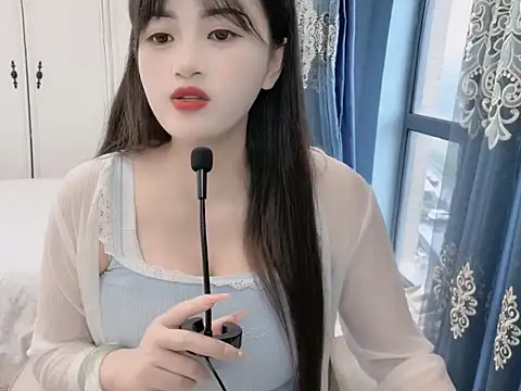 sjsibi webcam