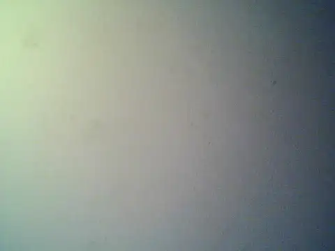elpaisavergongruesa webcam