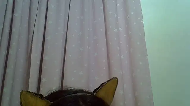 SkinnyKitten webcam