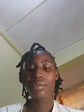 Muyokas webcam