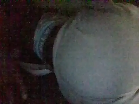 Elenor01 webcam