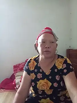 Fiona9x webcam