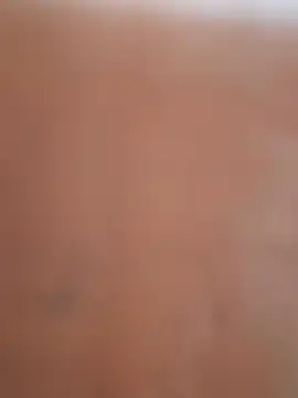 Priya_roy45 webcam