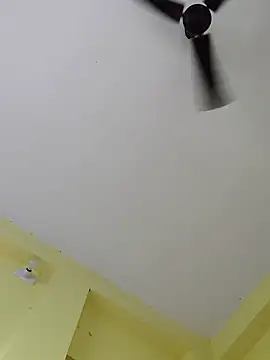 Minakshi-Gi webcam