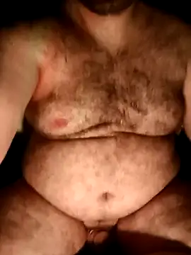 big__bearrr webcam