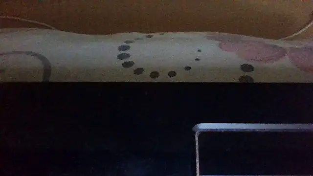 st206boy webcam