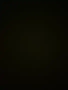 sharks90 webcam