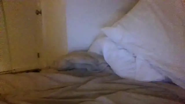 Call_Me_Snacks webcam