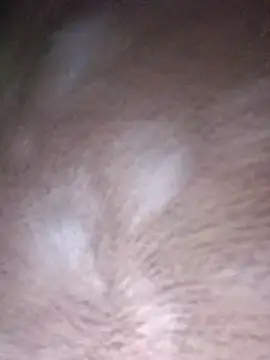 Innsaciable
