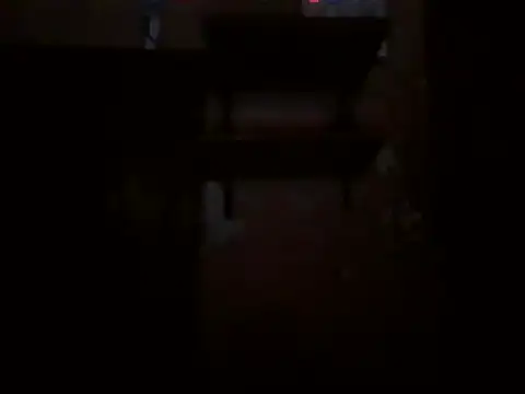 Lustynani1