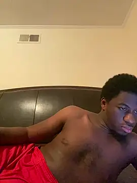 ThickDic28 webcam