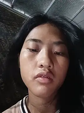 Hoa-tuylip