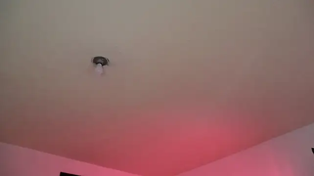 trieone webcam