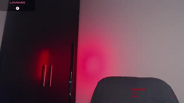 BjornSteel webcam