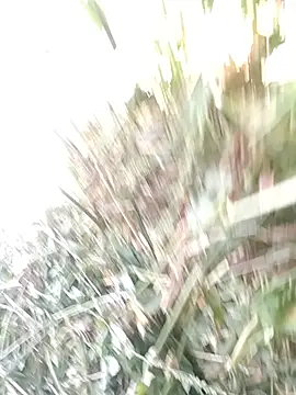 Ishqpari