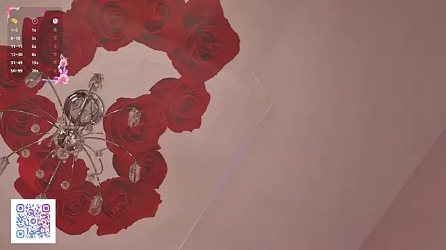 VirginaCoty webcam