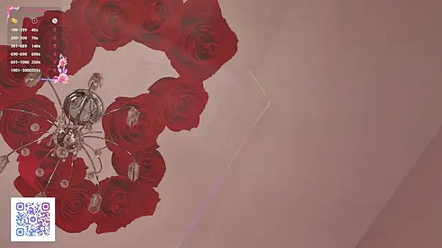 VirginaCoty webcam
