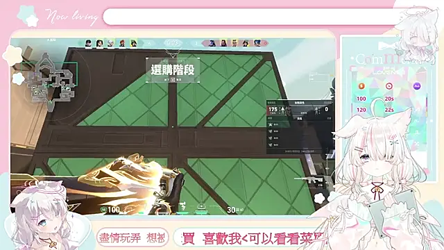 Fatis-Rin-Meow webcam