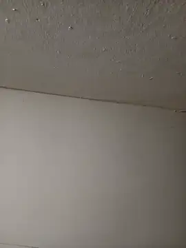 Bryan056_