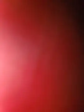 CdDavid2 webcam