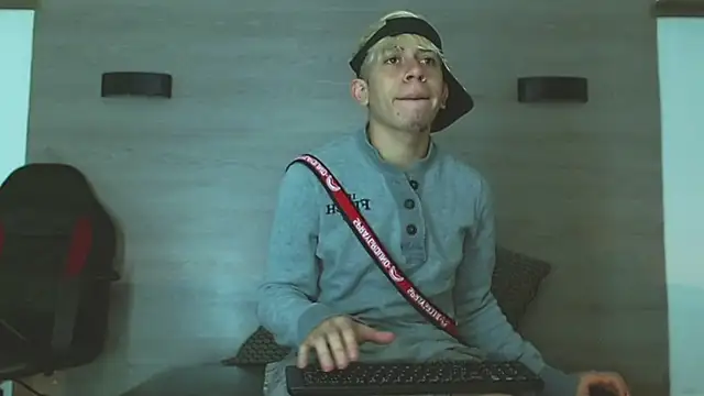 Gaeliitto webcam