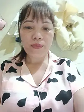 Sana-vn webcam