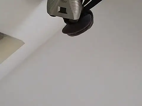 Anyelo55 live cam preview