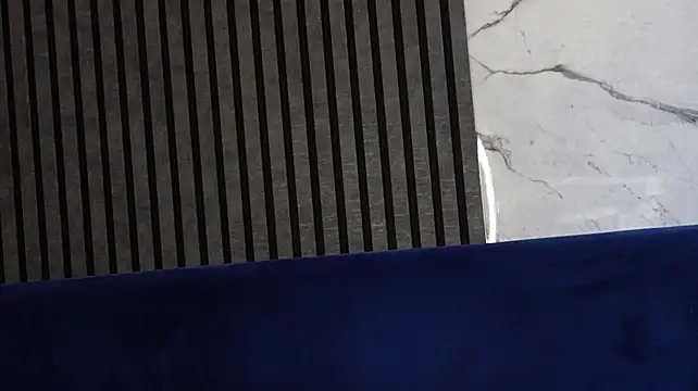 AryaGold webcam