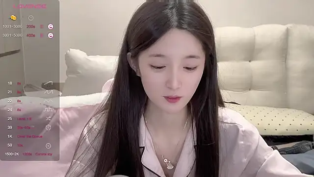 yy-1314 webcam