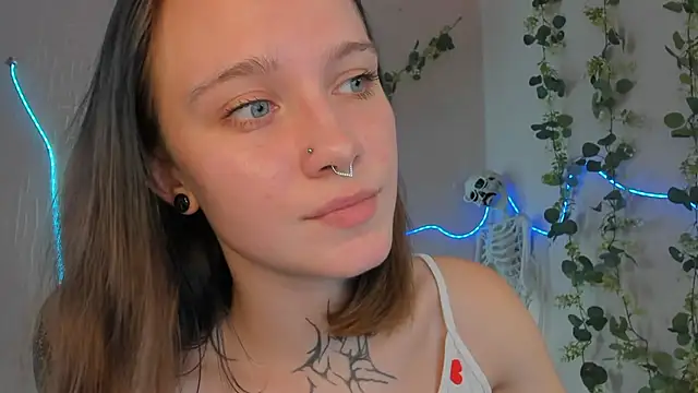 Elastikisss webcam