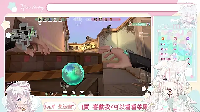 Fatis-Rin-Meow webcam