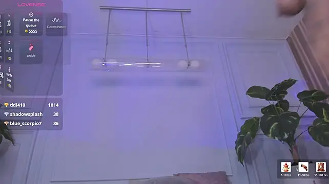 Dantzel_ webcam