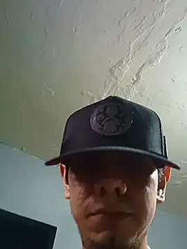 krak webcam