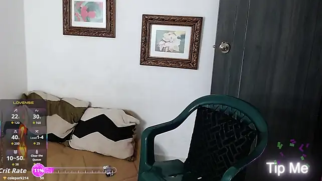 _steven_tayler_ webcam