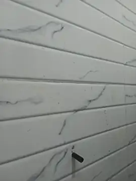 Kittu_Rani25