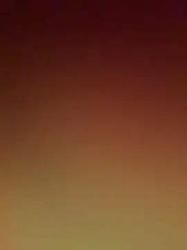 ReallyReallyReal webcam