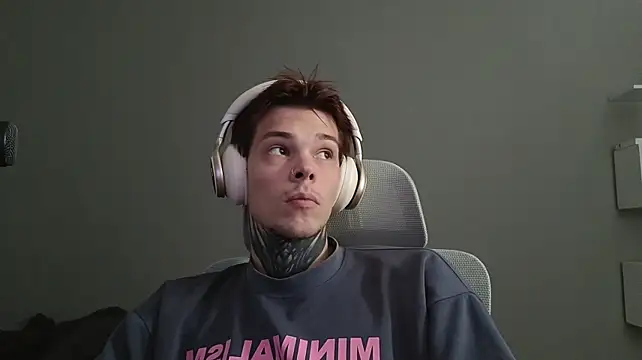 DENIS_HERE webcam