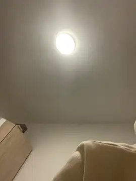 DirtyBerrz