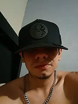 krak webcam