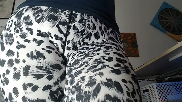 AuroraWillows