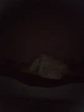 TuCanero23cm webcam