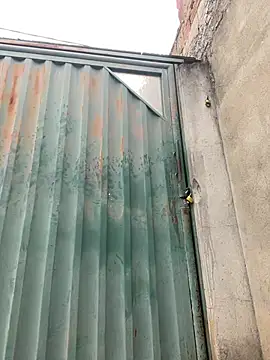 Exibindo10