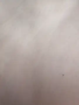 BlackCurly
